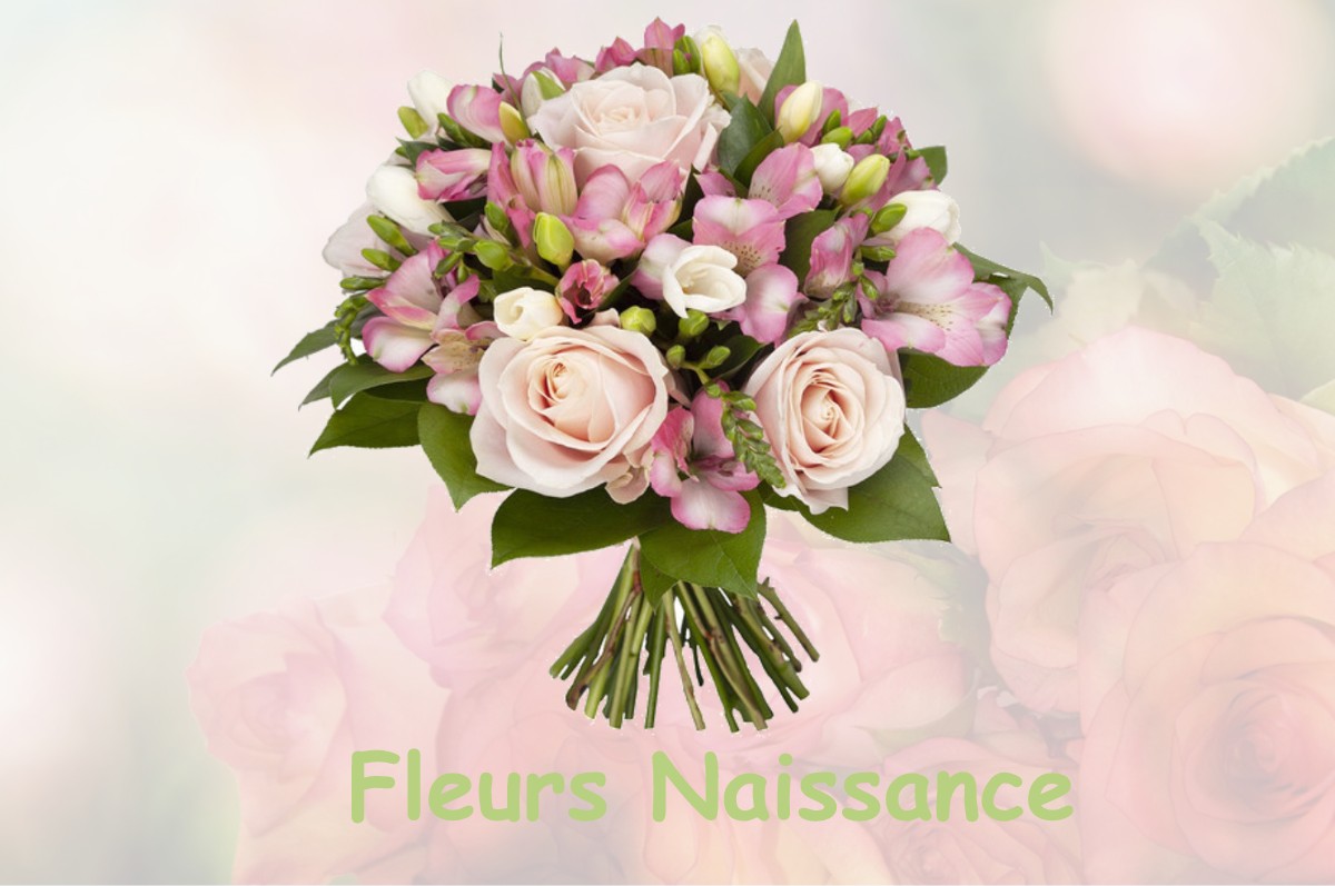 fleurs naissance BASSIGNAC-LE-HAUT