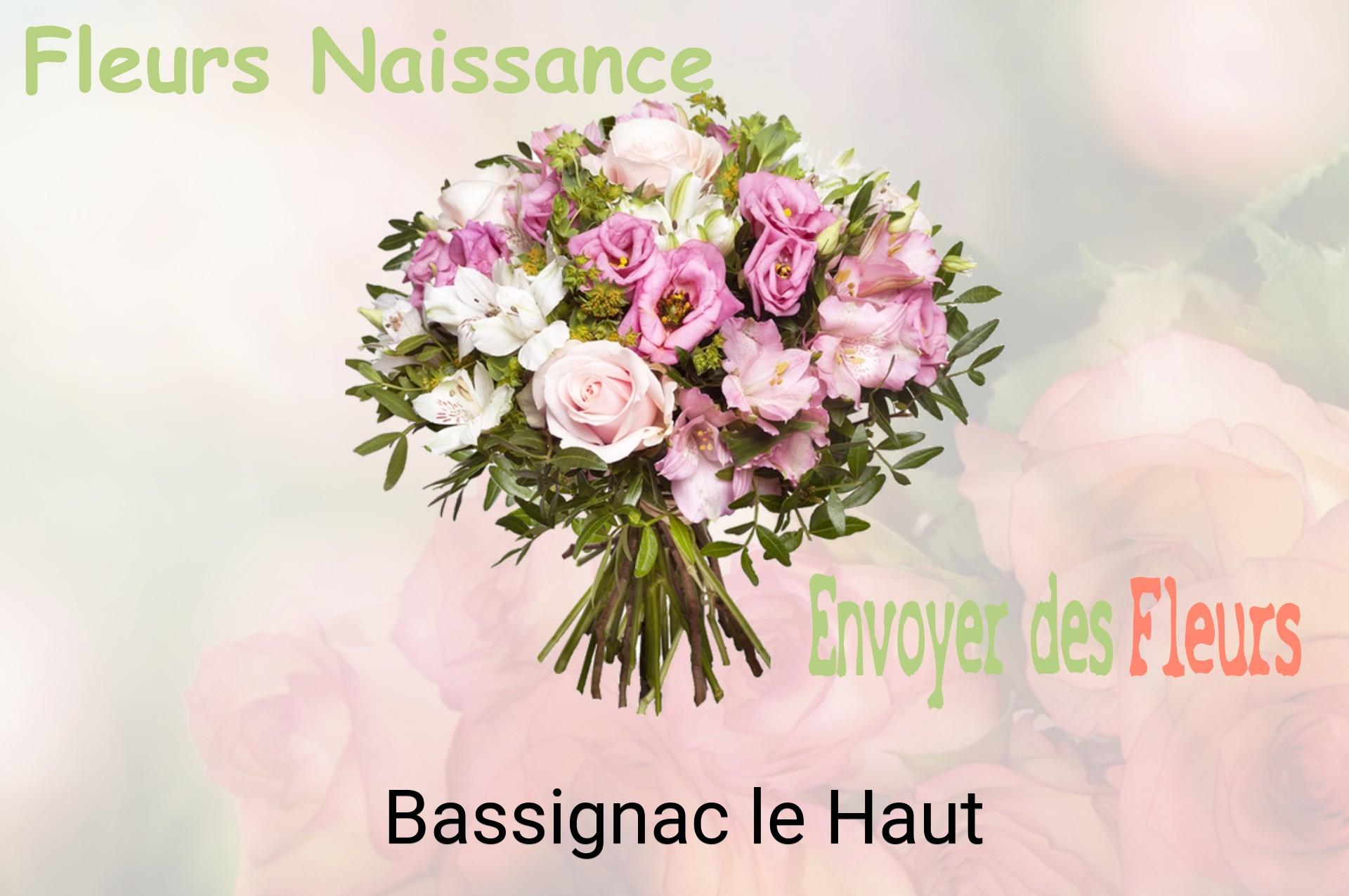 Bouquet de fleurs de naissance livré à Bassignac-le-Haut